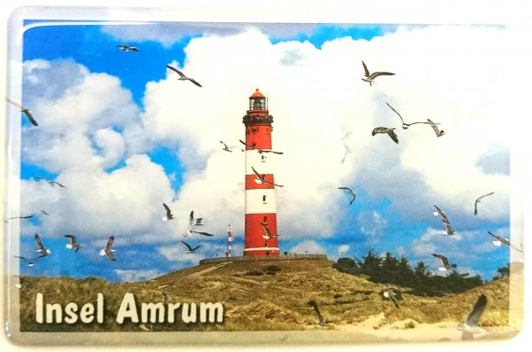 Flexi-Magnet Insel Amrum, Möwenschwarm