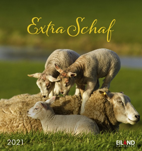 Extra Schaf 2021 - Postkartenkalender