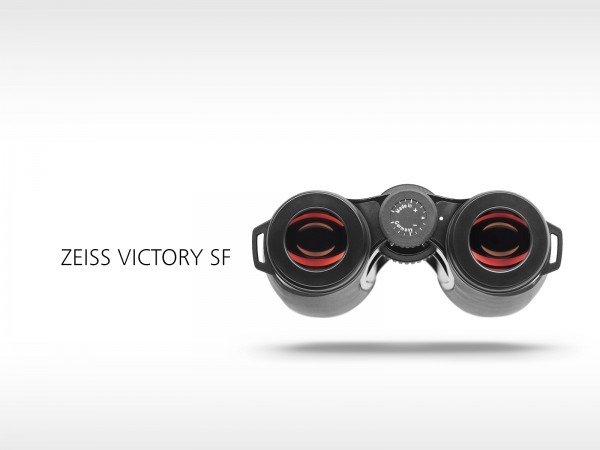 Zeiss Victory SF 10x42 grau
