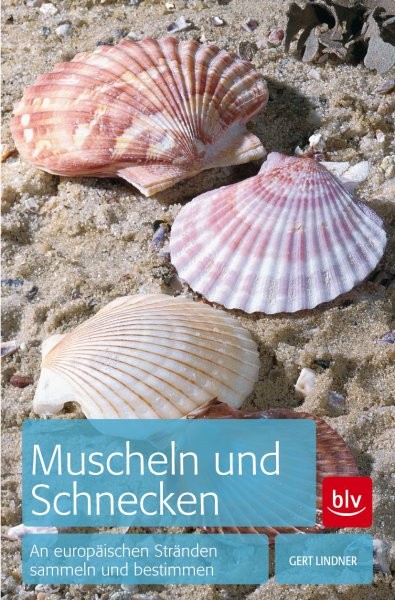 Muscheln und Schnecken - sammeln und bestimmen